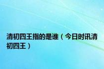 清初四王指的是谁（今日时讯清初四王）