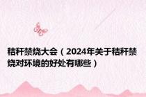秸秆禁烧大会（2024年关于秸秆禁烧对环境的好处有哪些）