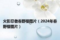 火影忍者春野樱图片（2024年春野樱图片）