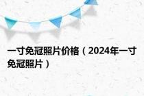 一寸免冠照片价格（2024年一寸免冠照片）
