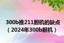 300b推211胆机的缺点（2024年300b胆机）