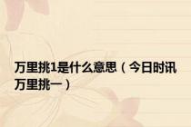 万里挑1是什么意思（今日时讯万里挑一）