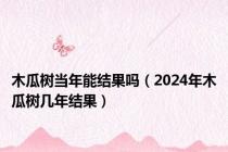 木瓜树当年能结果吗（2024年木瓜树几年结果）