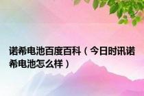 诺希电池百度百科（今日时讯诺希电池怎么样）