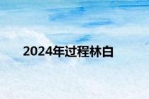 2024年过程林白