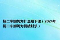杨二车娜姆为什么被下课（2024年杨二车娜姆为何被封杀）