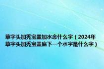 草字头加秃宝盖加水念什么字（2024年草字头加秃宝盖底下一个水字是什么字）