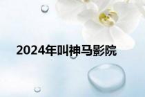 2024年叫神马影院