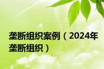 垄断组织案例（2024年垄断组织）