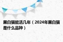 黑白猫能活几年（2024年黑白猫是什么品种）