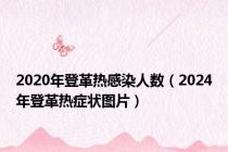 2020年登革热感染人数（2024年登革热症状图片）