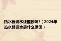 热水器漏水还能修吗?（2024年热水器漏水是什么原因）