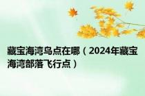 藏宝海湾鸟点在哪（2024年藏宝海湾部落飞行点）