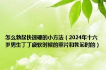 怎么勃起快速硬的小方法（2024年十六岁男生丁丁疲软时候的照片和勃起时的）