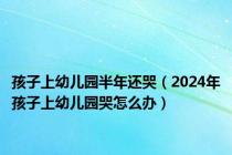 孩子上幼儿园半年还哭（2024年孩子上幼儿园哭怎么办）