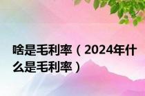 啥是毛利率（2024年什么是毛利率）