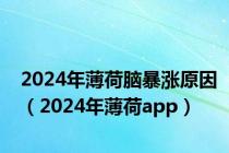 2024年薄荷脑暴涨原因（2024年薄荷app）
