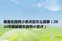 眼看东西有小黑点是怎么回事（2024年眼睛看东西有小黑点）