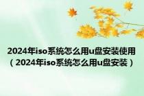 2024年iso系统怎么用u盘安装使用（2024年iso系统怎么用u盘安装）