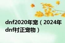 dnf2020年宠（2024年dnf村正宠物）