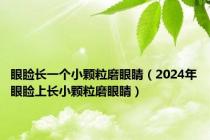 眼睑长一个小颗粒磨眼睛（2024年眼睑上长小颗粒磨眼睛）