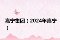 嘉宁集团（2024年嘉宁）