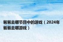 爸爸去哪节目中的游戏（2024年爸爸去哪游戏）