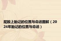屁股上胎记的位置与命运图解（2024年胎记的位置与命运）