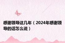 感谢领导这几年（2024年感谢领导的话怎么说）