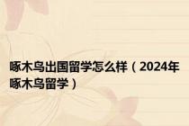 啄木鸟出国留学怎么样（2024年啄木鸟留学）