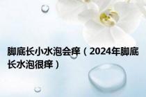 脚底长小水泡会痒（2024年脚底长水泡很痒）