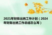 2021年财务出纳工作计划（2024年财务出纳工作总结怎么写）