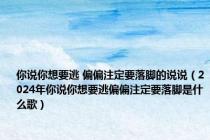 你说你想要逃 偏偏注定要落脚的说说（2024年你说你想要逃偏偏注定要落脚是什么歌）