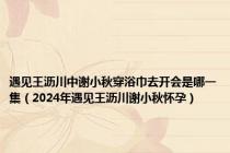遇见王沥川中谢小秋穿浴巾去开会是哪一集（2024年遇见王沥川谢小秋怀孕）