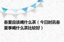 春夏应该喝什么茶（今日时讯春夏季喝什么茶比较好）