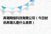 弄潮网络科技有限公司（今日时讯弄潮儿是什么意思）