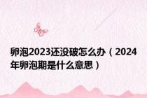 卵泡2023还没破怎么办（2024年卵泡期是什么意思）