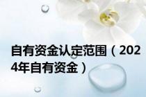 自有资金认定范围（2024年自有资金）