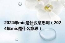 2024年mic是什么意思啊（2024年mic是什么意思）