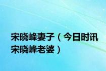 宋晓峰妻子（今日时讯宋晓峰老婆）