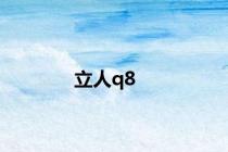 立人q8