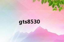 gts8530