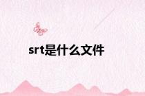 srt是什么文件