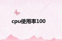 cpu使用率100