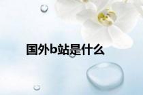 国外b站是什么