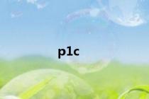p1c