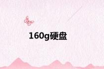 160g硬盘