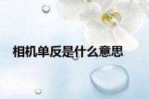 相机单反是什么意思