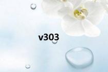 v303