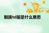 魅族td版是什么意思